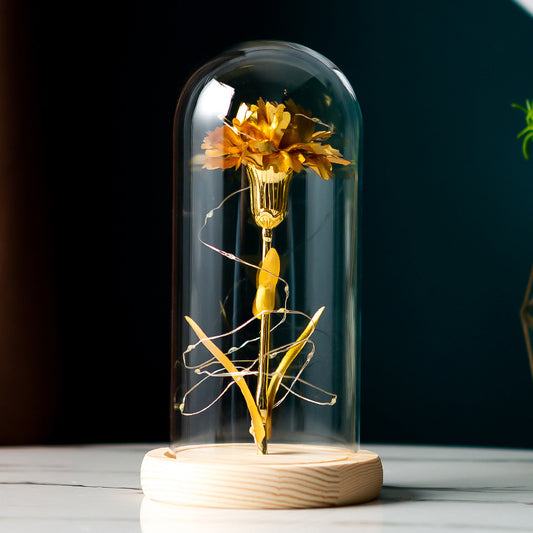 Preserved Flower with Glass Cover